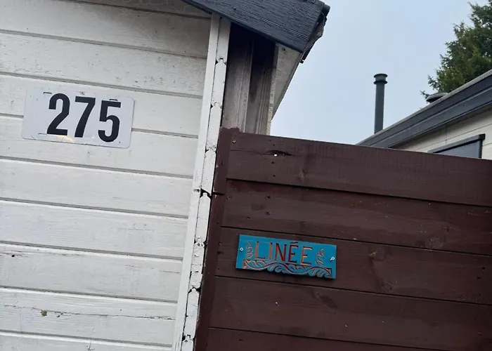Chalet Linee In Bosrijke Omgeving Anloo